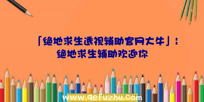 「绝地求生透视辅助官网大牛」|绝地求生辅助欢迎你